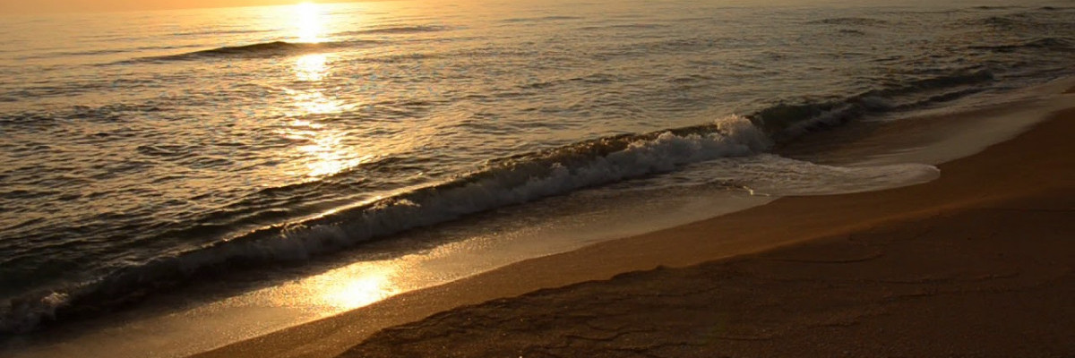 Жилье на косе Беляус1601126407